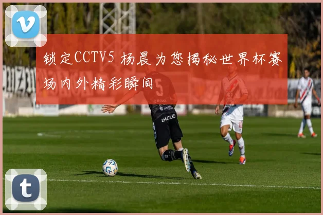 锁定CCTV5 杨晨为您揭秘世界杯赛场内外精彩瞬间