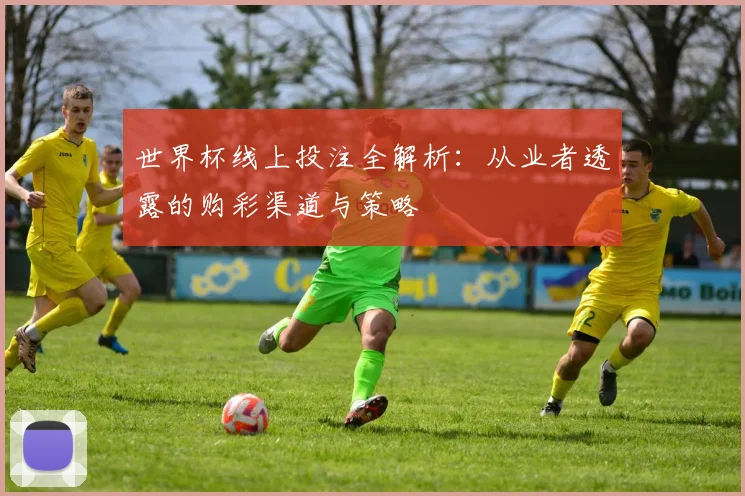 世界杯线上投注全解析：从业者透露的购彩渠道与策略