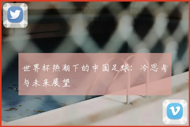 世界杯热潮下的中国足球:冷思考与未来展望