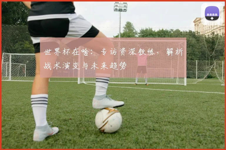 世界杯在啥:专访资深教练,解析战术演变与未来趋势