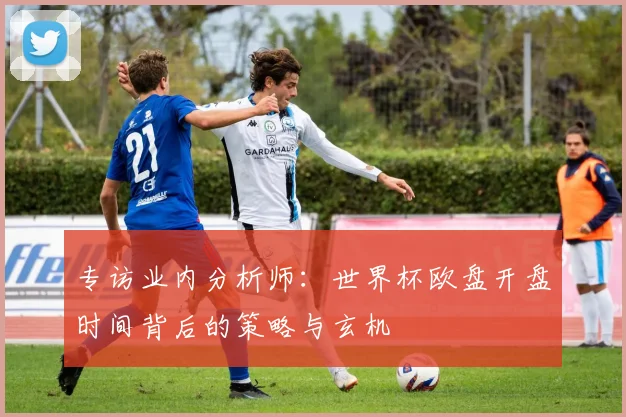 专访业内分析师:世界杯欧盘开盘时间背后的策略与玄机