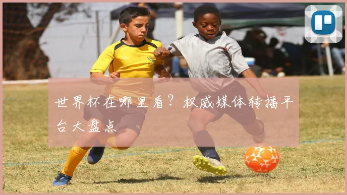 世界杯在哪里看?权威媒体转播平台大盘点