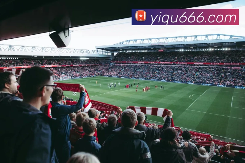 App Interface Preview